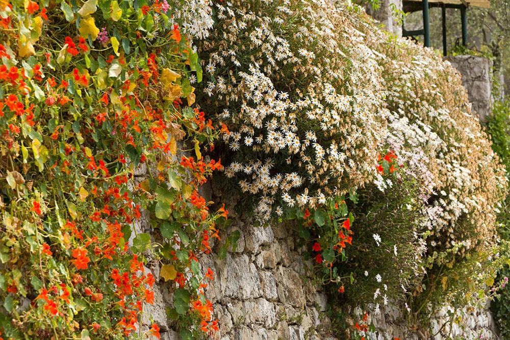 Mas Thomasine Sejour Romantique Au Calme ペイヨン エクステリア 写真